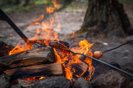 Guests gathered around a glowing campfire at dusk