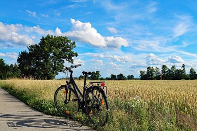 Family cycling along a coastal path
