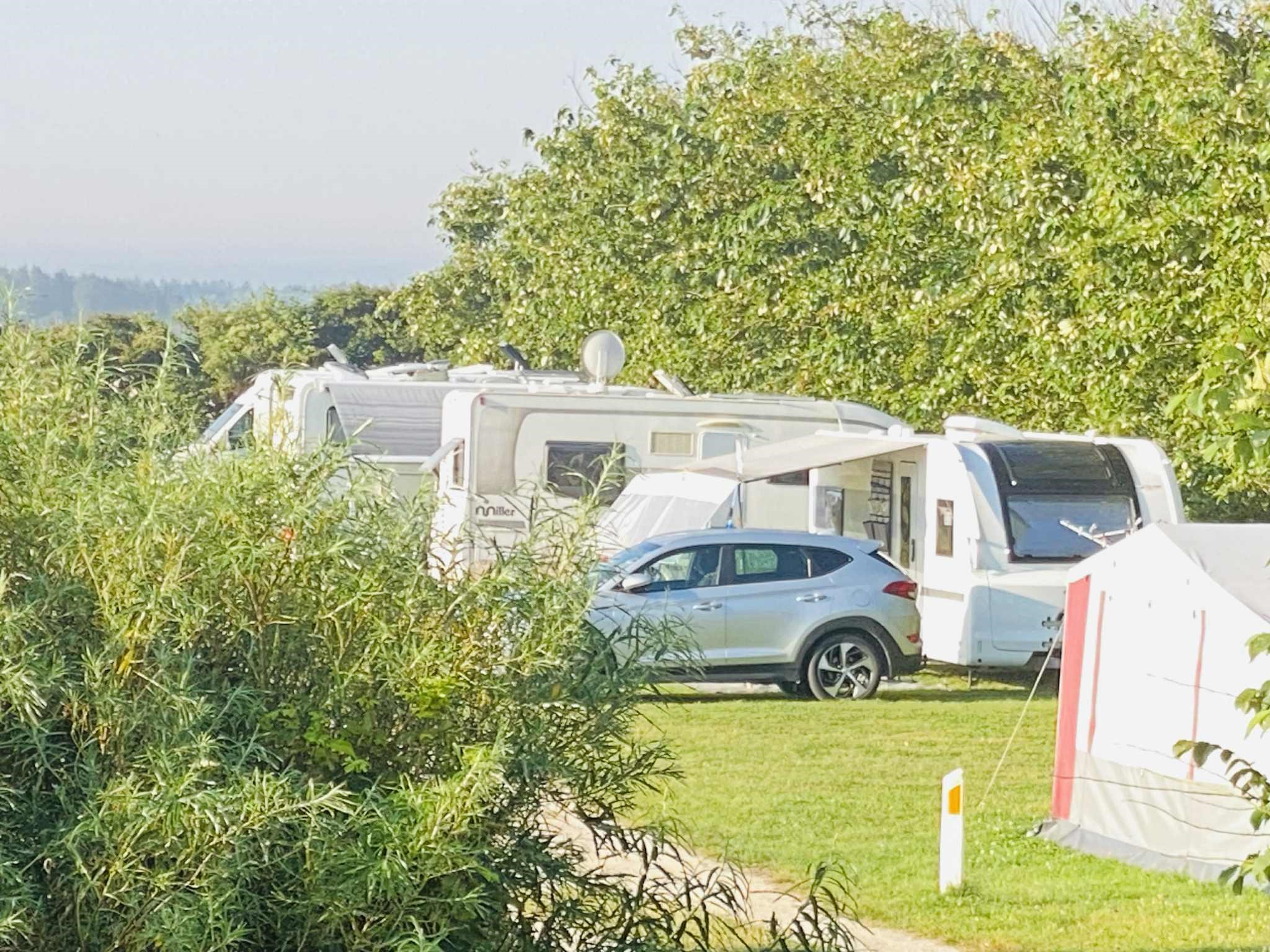 Campingplads