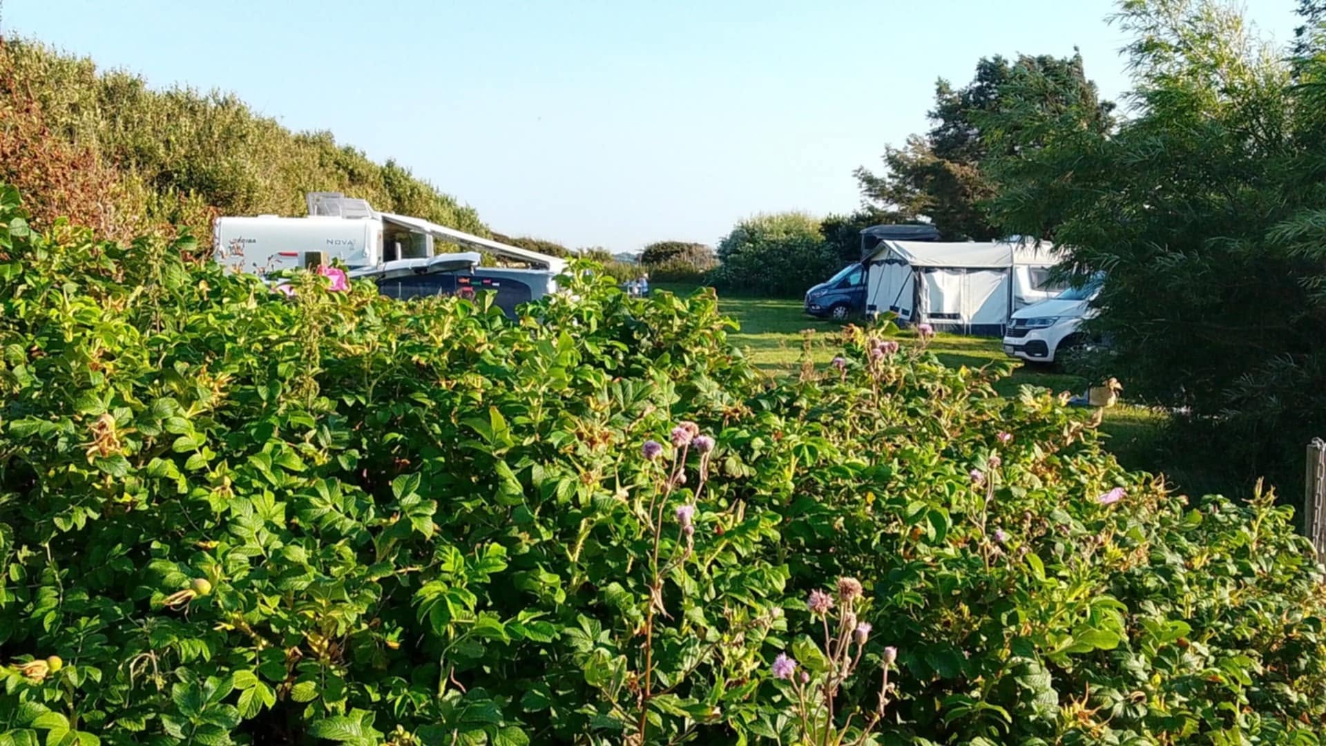 Camping close to the beach and the North Sea near Løkken