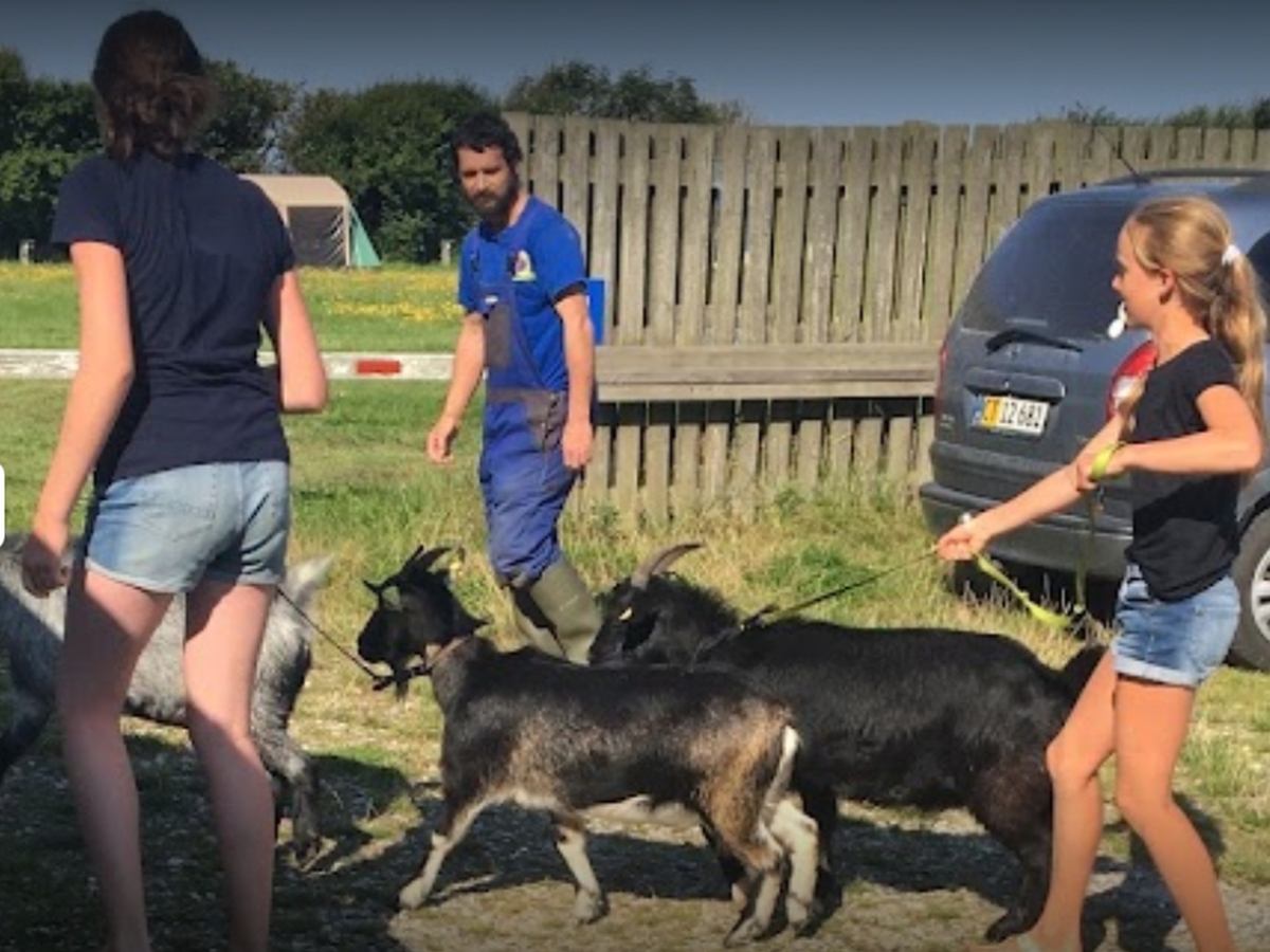 Børn og geder på Løkken Maritime Naturcamp
